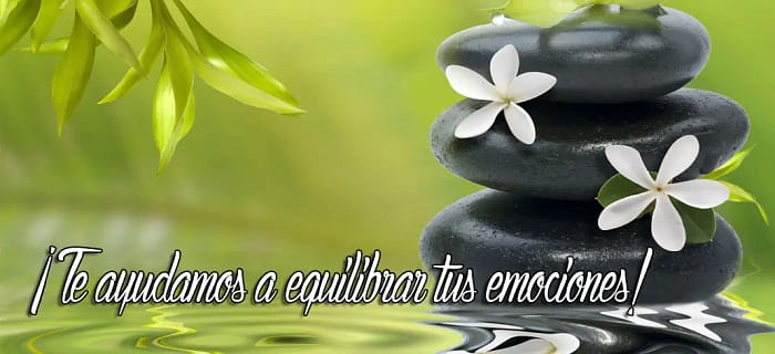 Te ayudamos a equilibrar tus emociones